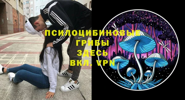 эйфоретик Балахна