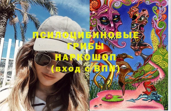 эйфоретик Балахна