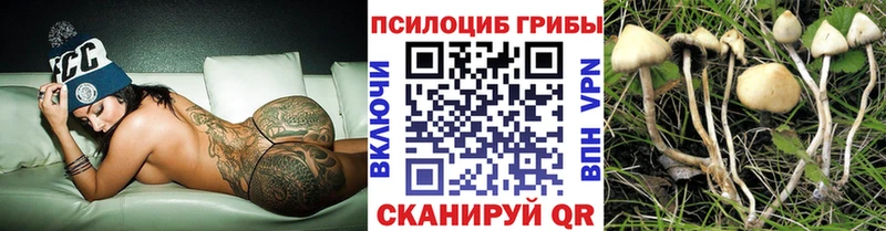 Псилоцибиновые грибы Magic Shrooms  купить наркоту  Касимов 